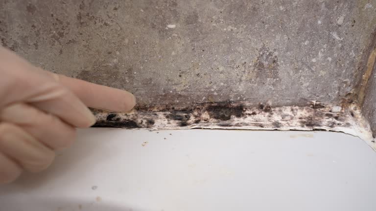 Best Mold Prevention Services  in Deland Southwest, FL