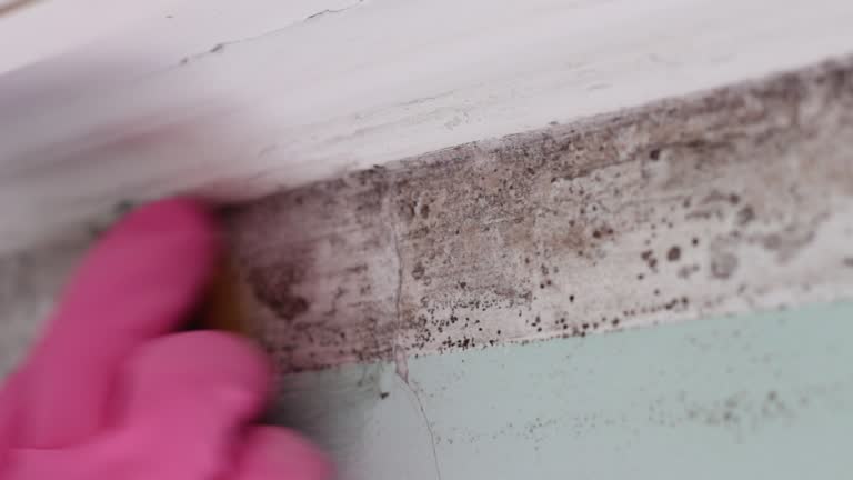 Best Commercial Mold Inspection  in Deland Southwest, FL